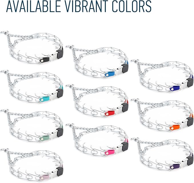 Herm Sprenger Chrome Plated Steel Dog Collar with Quick Release ClicLock Buckle and Biothane Insert Training Collar for Dogs Made in Germany (Violet Purple, 23in x 3.2mm(Neck Size up to19-20in))