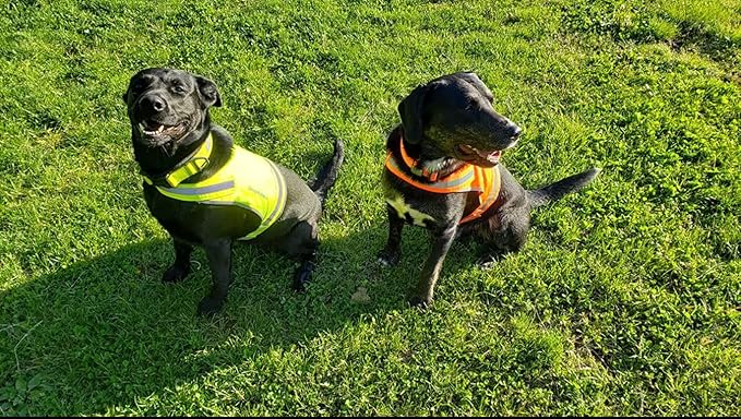 Lite Dog Vest. Coverage to Mid Back. Reflective Hi Visibility Fluorescent Yellow Fabric Helps to Keep Them in Sight and Safe On and Off Leash.