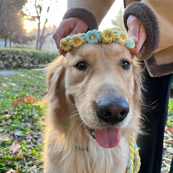 Handmade 5ft Braided Cotton Dog Leash with Unique Floral Handle, Durable and Stylish, Ideal for Small to Large Dogs, Blue & Yellow Twist