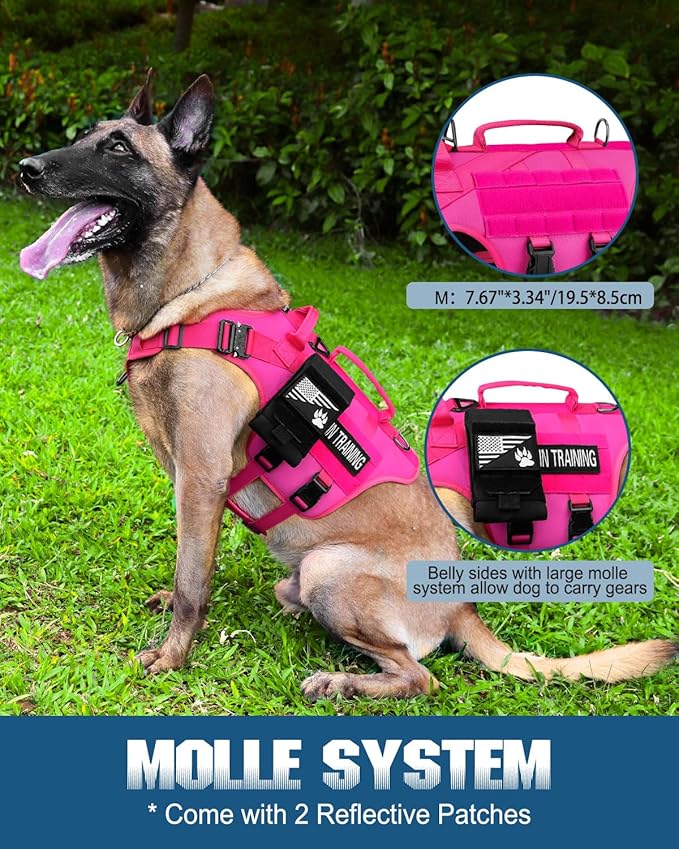 Tactical Dog Harness - PETNANNY Dog Harness Service Dog Vest for Large Breed Dog, Hook and Loop Panel for Service Dog Patchs, Work Dog MOLLE Vest with Handle for Walking Hiking Training(Pink,M)