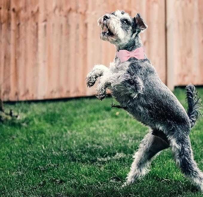 DOGWONG Cotton Dog Collar with Bow, Pink Pet Collar Durable Adjustable Puppy Collar for Small Medium Large Dogs