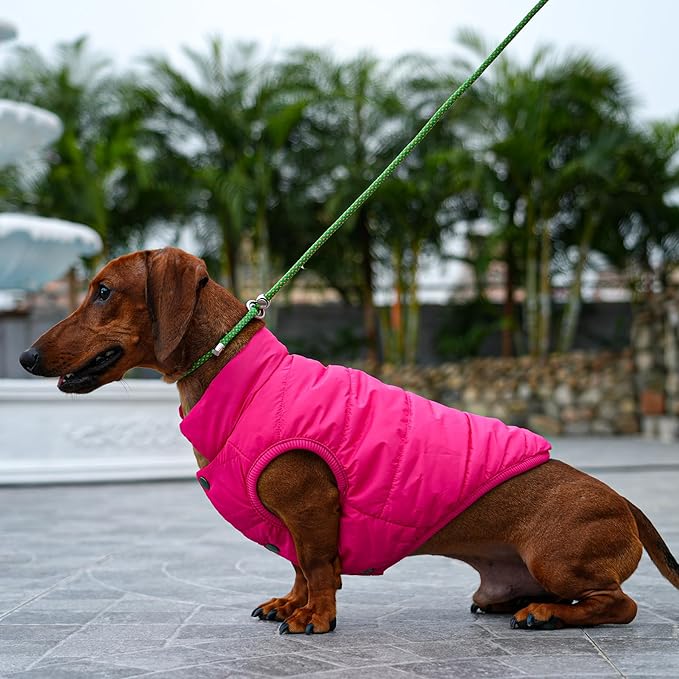 2 Layers Fleece Lined Warm Dog Jacket for Winter Cold Weather,Soft Windproof Medium Dog Coat,Pink L