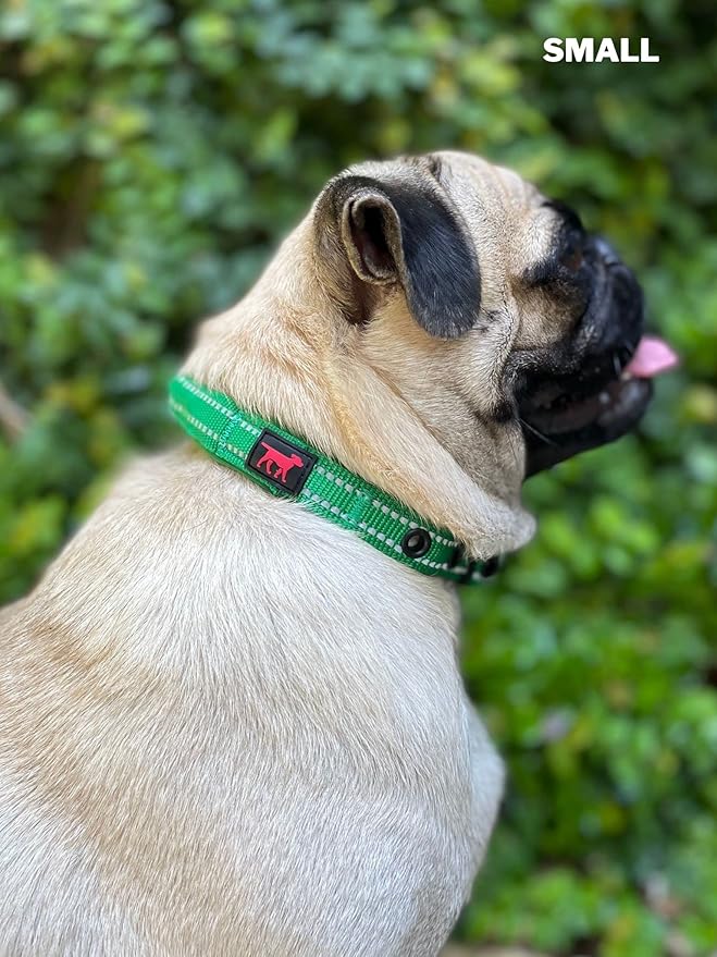 Heavy Duty Dog Collar with Handle | Ballistic Nylon Heavy Duty Collar | Padded Reflective Dog Collar with Adjustable Stainless Steel Hardware | Convenient Sizing for All Breeds