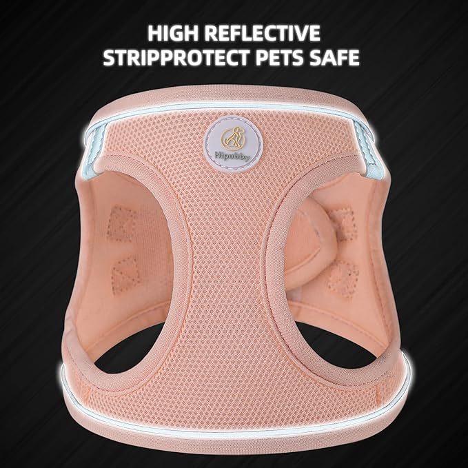 Dog Harness and Leash Set, No Pull Soft Mesh Pet Harness for Small Medium Dogs, Cats - Step in Adjustable Reflective Puppy Harness with Buckle and Double D-Rings - Pink, L