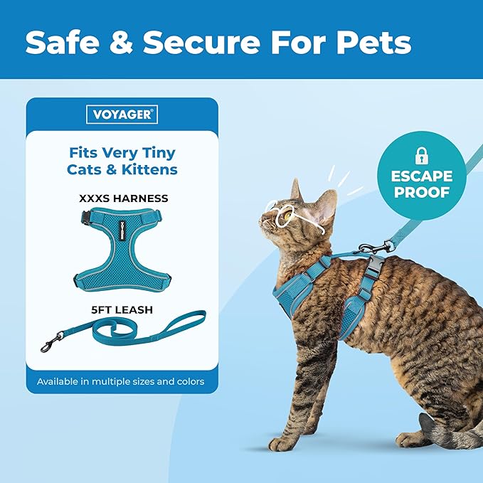 Voyager Escape Proof Cat Harness and Leash Set with Reflective Stitching, Neoprene Handle 5ft - Supports Small, Medium and Large Cats, Kittens for Walking by Best Pet Supplies - Turquoise, XXXS