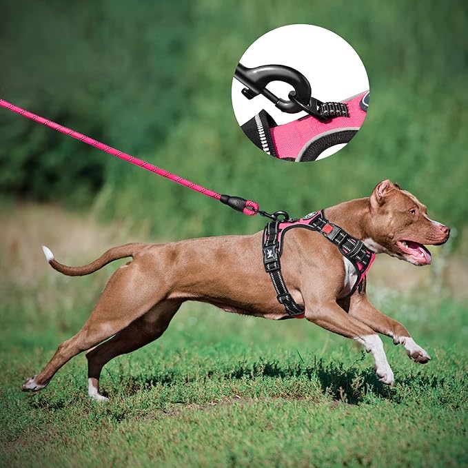 PoyPet Dog Harness and Leash Combo, Escape Proof No Pull Vest Harness, with 5 Feet Leash, Reflective Adjustable Soft Padded Pet Harness with Handle for Small to Large Dogs(Pink,M)