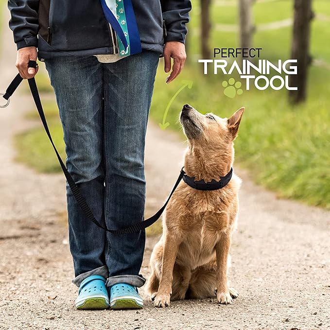 Ram-Pro Dog Training Collar Small Pinch Collar for Dogs Triple Crown Pro Training Collar Large Gentle Effective Control in a No Barking Control Dog Collar for All Breeds