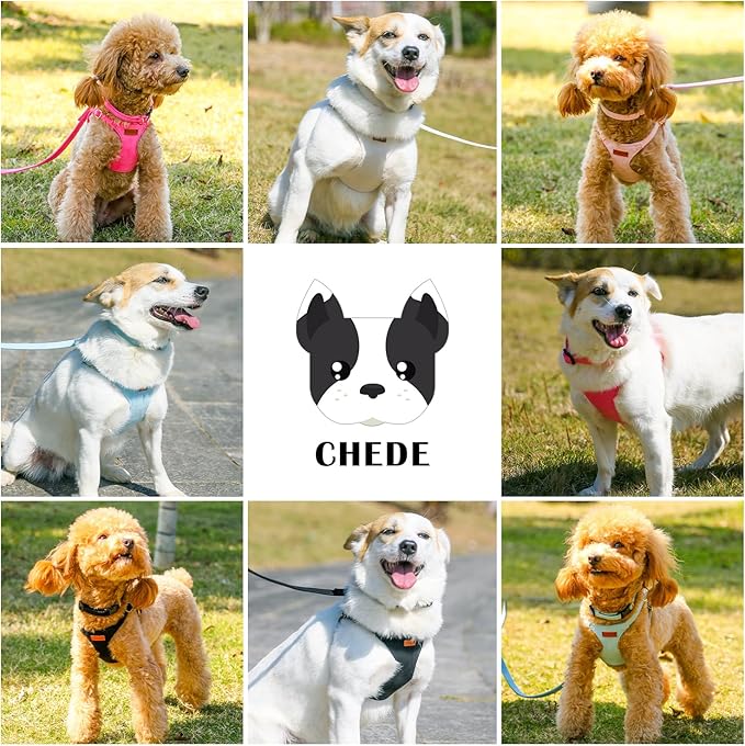 No Pull Dog Harness- Lightweight, Soft, Adjustable Small Harness Collar and Leash Set, Suitable for Cats Puppy Small and Medium-Sized Dog Outdoor Training and Running (Black, S)