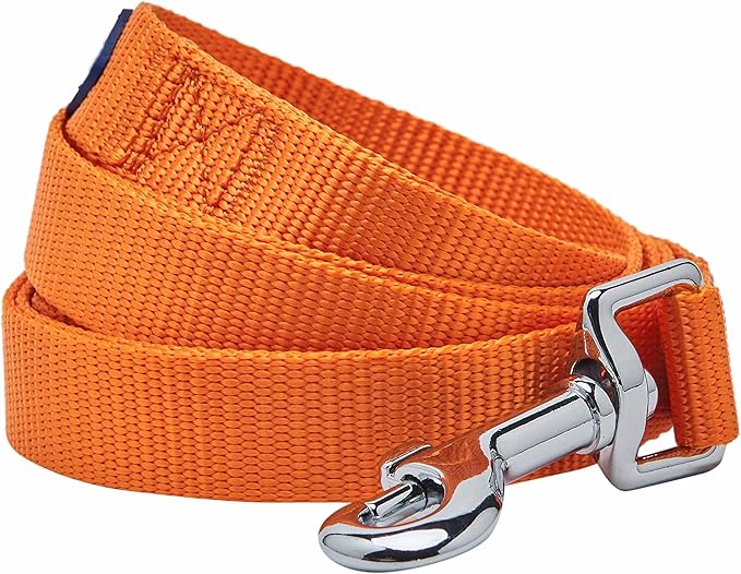 Blueberry Pet Essentials Durable Classic Dog Leash | Basic Nylon Dog Leash | 5ft. x 5/8" Small Dog Leash | Orange Vermilion Dog Leash | Standard Dog Leashes & Lightweight Dog Leash for Training