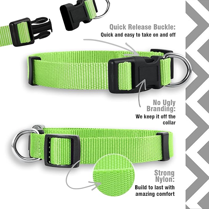 Native Pup Basic Nylon Dog Collar, Adjustable for Small, Medium, Large pet and Puppies Accessories, Cute Colors for Male, Female, boy, Girl, Puppy (Small, Neon)