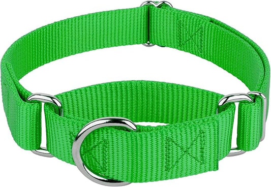 Country Brook Petz Martingale Dog Collar - Heavy-Duty Training Collar with No Buckle - Service Dog Collar for All Pups - Vibrant, Colorful Collection (Hot Green, 1 Inch, Medium)