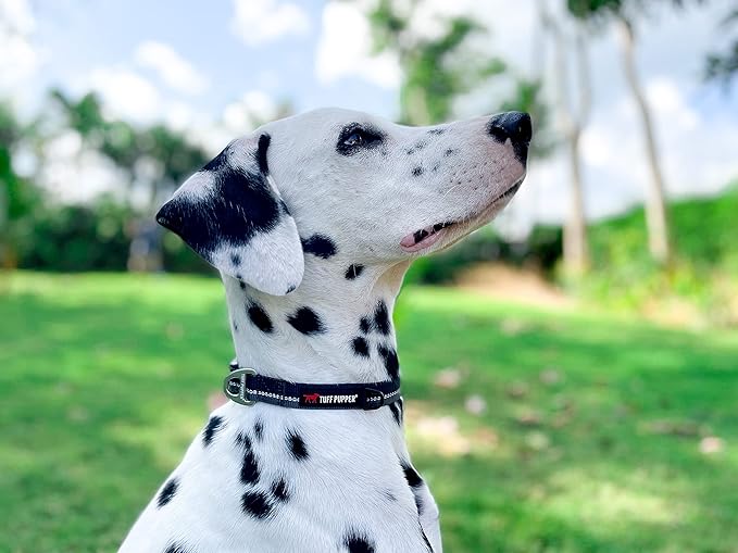Tuff Pupper Heavy Duty Dog Collar | Reflective with Aluminum D-Ring Leash Clip | Separate Dog ID Tag Attachment | Easy Sizing for All Breeds