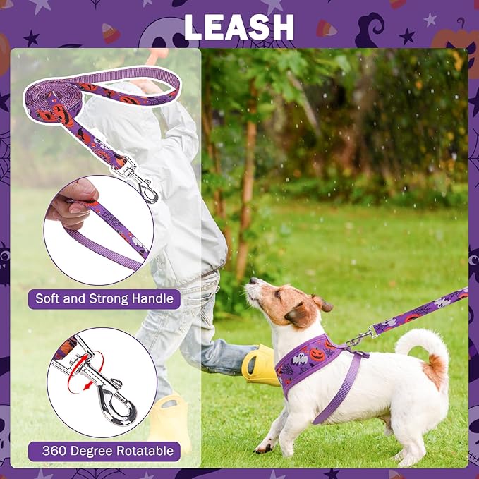 SCENEREAL Small Dog Harness Collar and Leash Set, Adjustable No Pull Pet Harnesses, No Chock Soft Mesh Step in Vest Halloween Costume for Doggie Puppy Dogs Cats Girl Boy Outdoor Walking