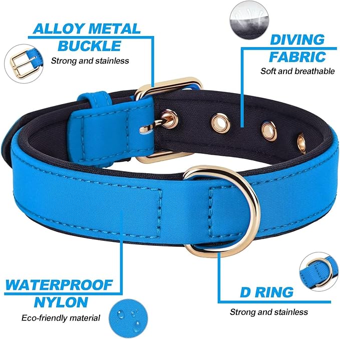 Didog Soft Padded Dog Collars for Medium Dogs, Lightweight and Breathable Dog Collar Waterproof with Metal Buckle, Blue, M