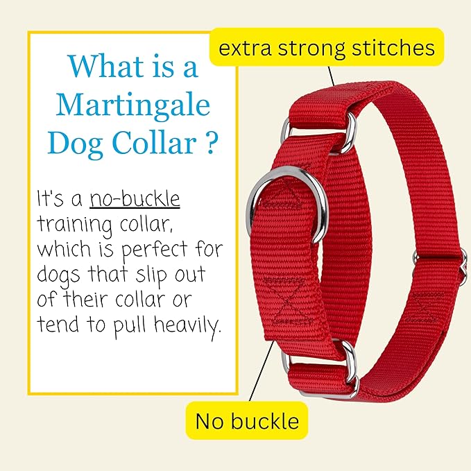 Country Brook Petz Martingale Dog Collar - Heavy-Duty Training Collar with No Buckle - Service Dog Collar for All Pups - Vibrant, Colorful Collection (Red, 1 Inch, Extra Large)