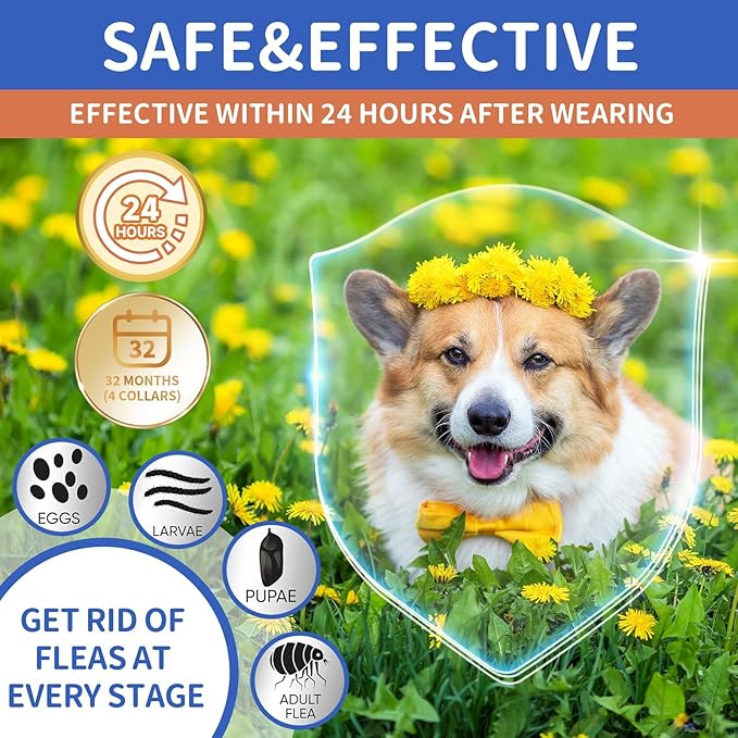 4 Pack Flea Collar for Dogs, 32 Months Flea and Tick Prevention for Dogs, Waterproof Dog Flea Collar, Dog Flea and Tick Treatment, Adjustable Flea and Tick Collar for Dogs Puppy -Blue & Orange