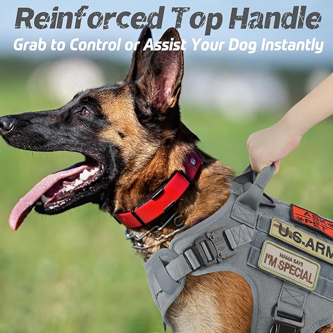 rabbitgoo Tactical Dog Harness for Large, Heavy Duty Pet Harness with Handle, No-Pull Service Vest Large Breed, Adjustable Military Dog Vest for Training Hunting Walking, Grey, XL
