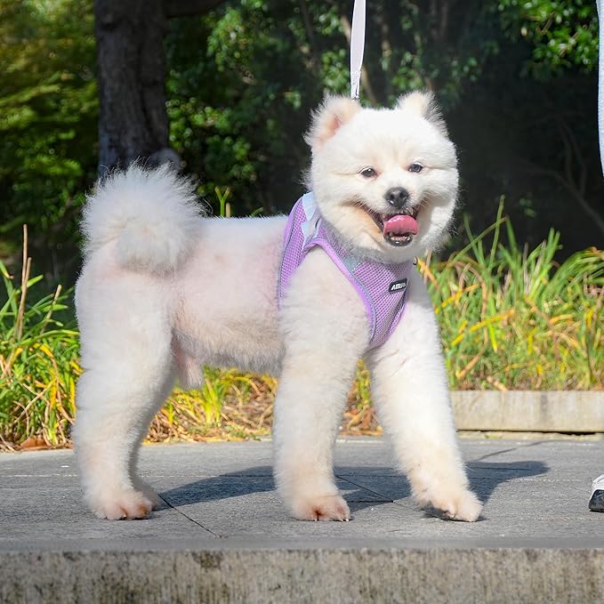 AIITLE Puppy Harness and Leash Set for Walking, Step in Dog Harness, Soft Breathable Pet Supplies, Reflective Bands, for Extra Small Dogs and House Cats Purple XXXS
