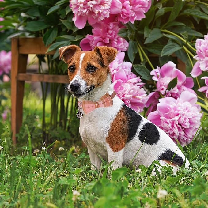 ADOGGYGO Pink Plaid Dog Collar with Detachable Bowtie, Adjustable Soft Plaid Pink Collars for Small Medium Large Female Dogs (Small)