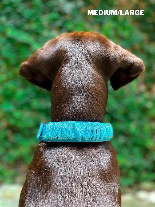 Tuff Pupper Heavy Duty Dog Collar with Handle | Ballistic Nylon Heavy Duty Collar | Padded Reflective Dog Collar with Adjustable Stainless Steel Hardware | Convenient Sizing for All Breeds