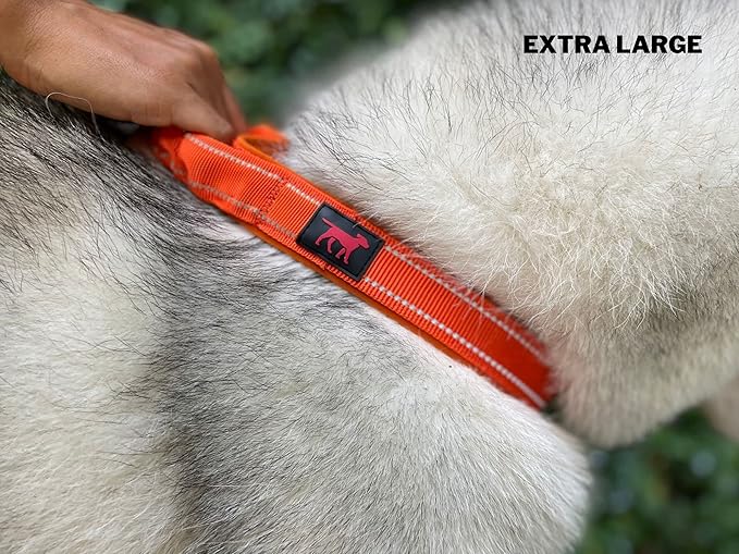 Heavy Duty Dog Collar with Handle | Ballistic Nylon Heavy Duty Collar | Padded Reflective Dog Collar with Adjustable Stainless Steel Hardware | Convenient Sizing for All Breeds X-Large (19-23" Neck)