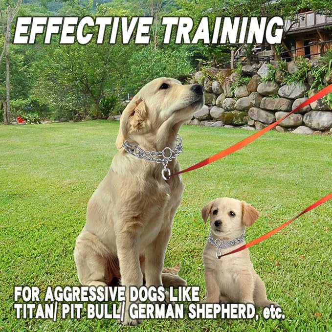 Prong Collars for Dogs, No Pull Dog Collar, Dog Training Collar for Large Medium Small Dogs, Stainless Steel Adjustable with Comfort Rubber Tips (Small, 2.5mm, 15.6-Inch)