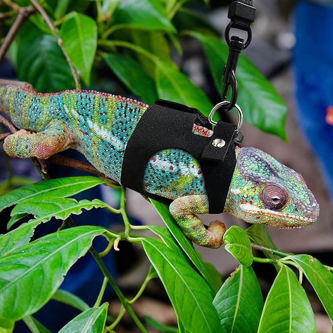 Bearded Dragon Harness and Leash Set, 3 Size Adjustable Soft Leather Reptile Leash, Lizard Harness with Retractable, Small Animal Outdoor Walking Vest with Traction Rope, 3 Pack, Black