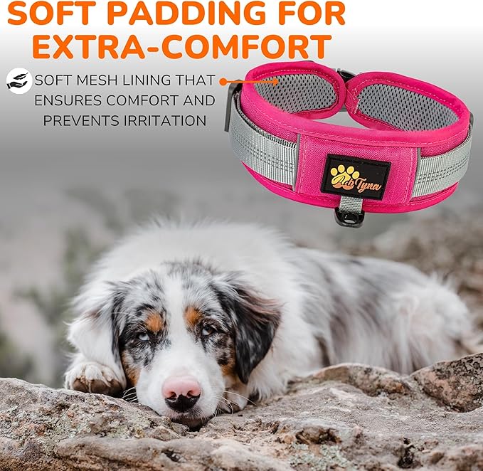 Durable 2-inch AirtTag Dog Collar for Medium Dogs – Reflective, Heavy-Duty Metal Buckle, Comfortable Mesh Lining, Includes Patch and AirTag Holder (Pink, Medium: Fit 15" - 18" Neck)