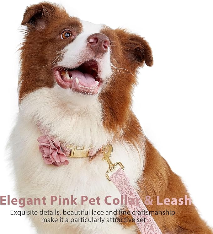 Summer Girl Dog Collar and Leash Set Soft Cotton Lace Handmade Embroidered Personalized Designer Heavy-Duty Dog Collars for Large Dogs,L