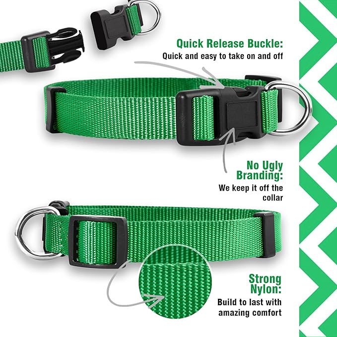 Native Pup Basic Nylon Dog Collar, Adjustable for Small, Medium, Large pet and Puppies Accessories, Cute Colors for Male, Female, boy, Girl, Puppy (Large, Green)