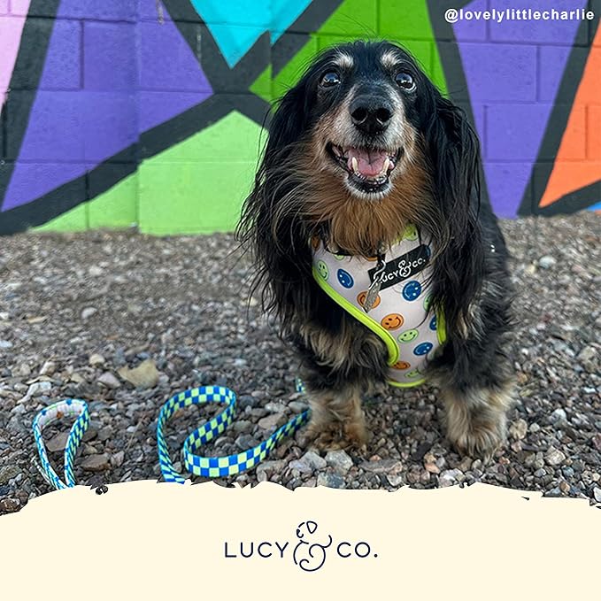 Lucy & Co. Lime Green with Blue Checker Smiley Faces, Cute Reversible Dog Harness Walking Halter - Best Designer Pet Harnesses for XS - XL Dogs - Padded Adjustable Vest for Easy Walking (X-Large)
