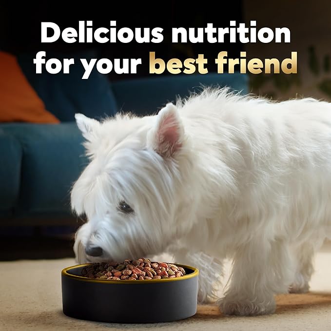Cesar Small Breed Dry Dog Food Rotisserie Chicken Flavor and Spring Vegetables Garnish, 2.7 lb. Bag