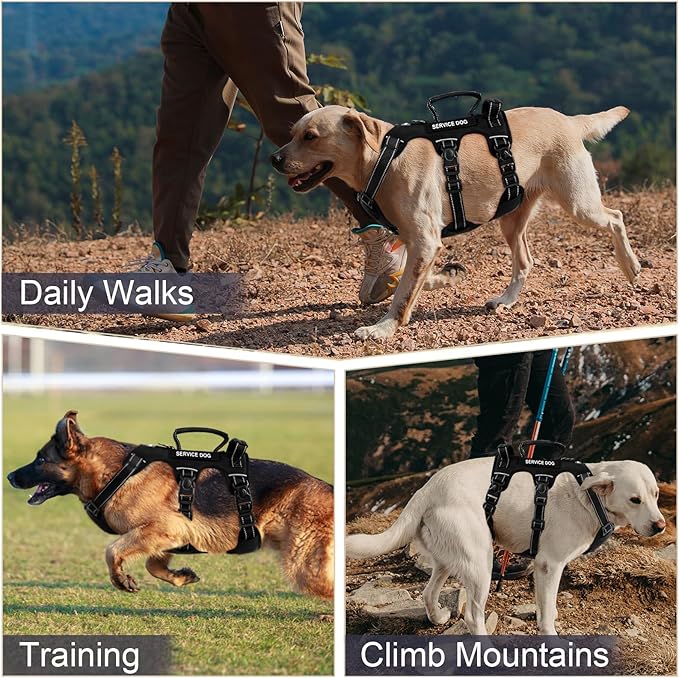 Escape Proof Dog Harness for Large Medium Sized Dogs Six Point Adjustable, Service Dog Vest Harness and Leash Set, No Pull Dogs Harnesses with Handle, XL Dog Harnesses for Walking(Black, XL)