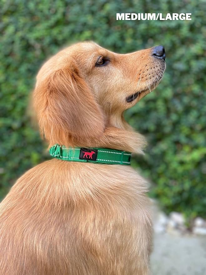 Heavy Duty Dog Collar With Handle | Ballistic Nylon Heavy Duty Collar | Padded Reflective Dog Collar With Adjustable Stainless Steel Hardware | Convenient Sizing for All Breeds