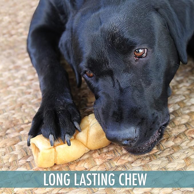 Water Buffalo 9" Retriever Style Cheek Roll Dog Chews-3 Pack (Long Lasting Dog Chews, Treats, Bones for for Large Dogs) Substitute for Pig Ears for Dogs