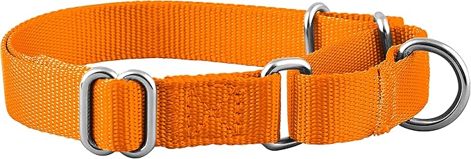 Native Pup Martingale Dog Collar, Adjustable for Small, Medium, Large pet and Puppies Accessories, Cute Colors for Male, Female, Boy, Girl, Puppy (Medium, Orange)