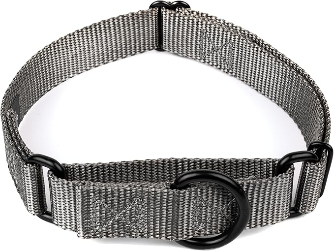 Country Brook Petz Martingale Dog Collar - Heavy-Duty Training Collar with No Buckle - Service Dog Collar for All Pups - Vibrant, Colorful Collection (Charcoal, 3/4 Inch, Small)