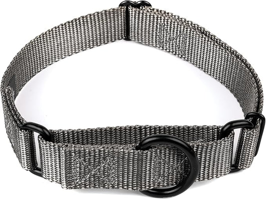 Country Brook Petz Martingale Dog Collar - Heavy-Duty Training Collar with No Buckle - Service Dog Collar for All Pups - Vibrant, Colorful Collection (Charcoal, 3/4 Inch, Small)