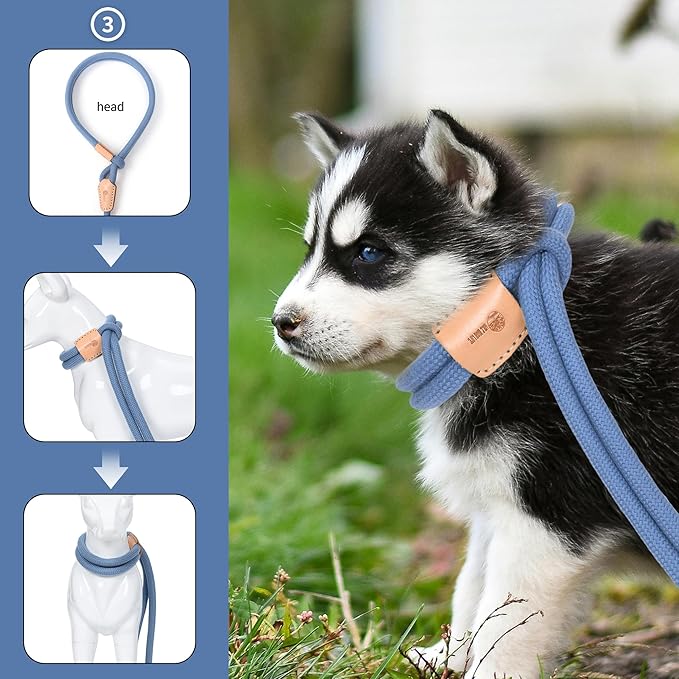 Mile High Life Harness Lead No Pull, All in one Dog Lead 2-in-1, Rope Leash and Harness Two in One, Slip Leash for Puppy Small Dogs Training, 4FT Blue