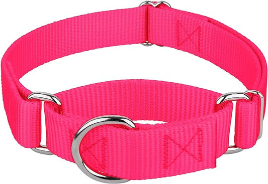 Country Brook Petz Martingale Dog Collar - Heavy-Duty Training Collar with No Buckle - Service Dog Collar for All Pups - Vibrant, Colorful Collection (Hot Pink, 3/8 Inch, 2XS)