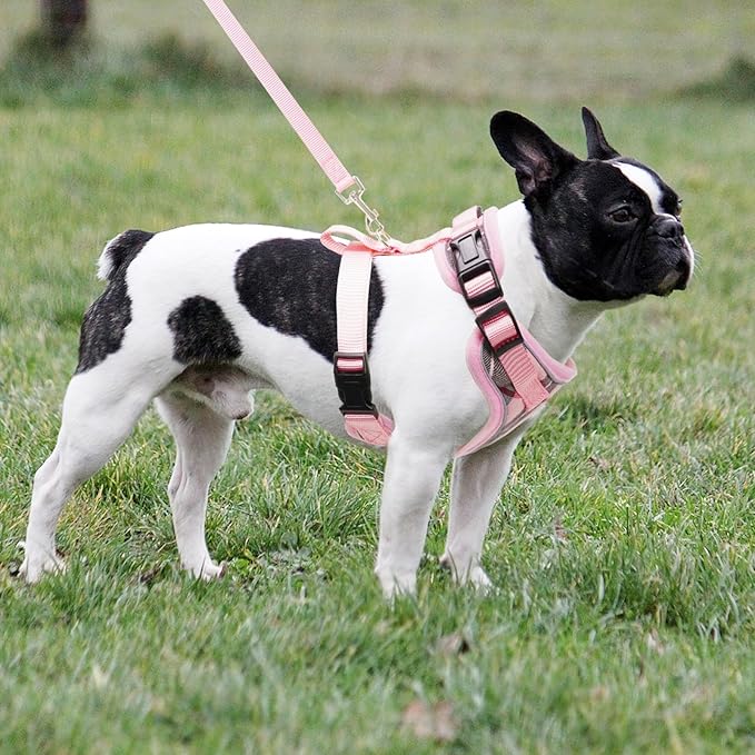 PUPTECK Soft Mesh Dog Harness and Leash Set Pet Puppy Cat Adjustable Reflective Padded Vest No Pull Harnesses, Pink, L