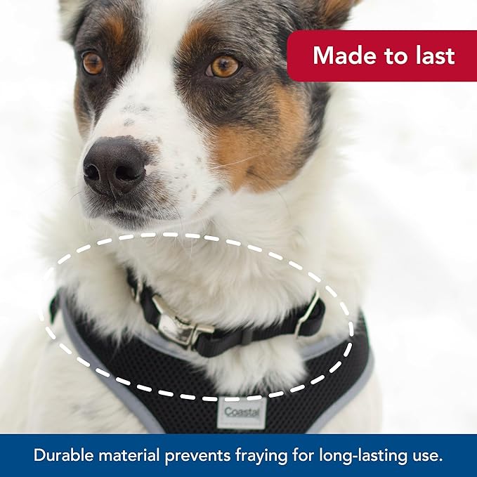 Coastal Pet Adjustable Dog Collar with Metal Buckle - Comfortable Fade-Resistant Dog Collar with Snap Lock - Perfect for Walking & Tie Outs - Black, 3/4" x 14" x 20"