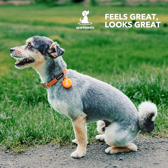 SparklyPets Extra Small Dog Collar with Quick Release Chrome Buckle & AirTag Holder – Premium Small Breeds Collars with Reflective Stripes & Soft Lining for Female & Boy Dogs