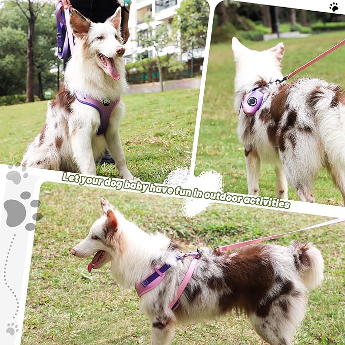 QQPETS Dog Harness Collar Leash with Poop Bag Holder 4 PCS Set, Adjustable No Pull Soft Mesh Padded Vest for Small Medium Large Pet Puppy Outdoor Walking (Gradient Purple, L (Chest 22.4”-32.6”))