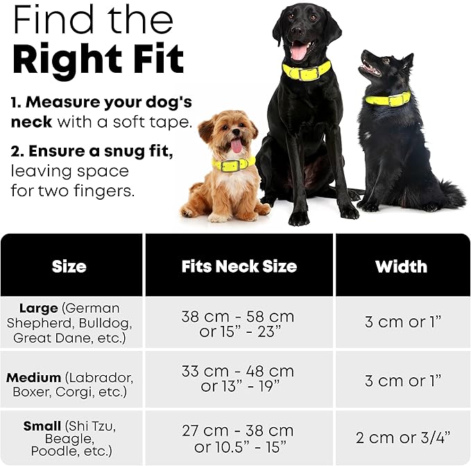 Regal Dog Products Small Yellow Waterproof Dog Collar and Leash Set | Heavy Duty Double Buckle & D Ring - 5'ft Leash | Adjustable Biothane Dog Collar | Chew Resistant Waterproof Collar for Dogs