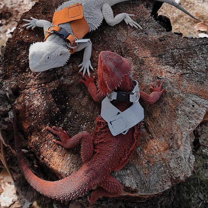3 Pack Bearded Dragon Harness and Leash Set - Adjustable Soft Leather Lizard Harness with Retractable Leash Small Animal Traction Rope Walking Vest Accessories for Reptile Squirrel Rat (Grey)