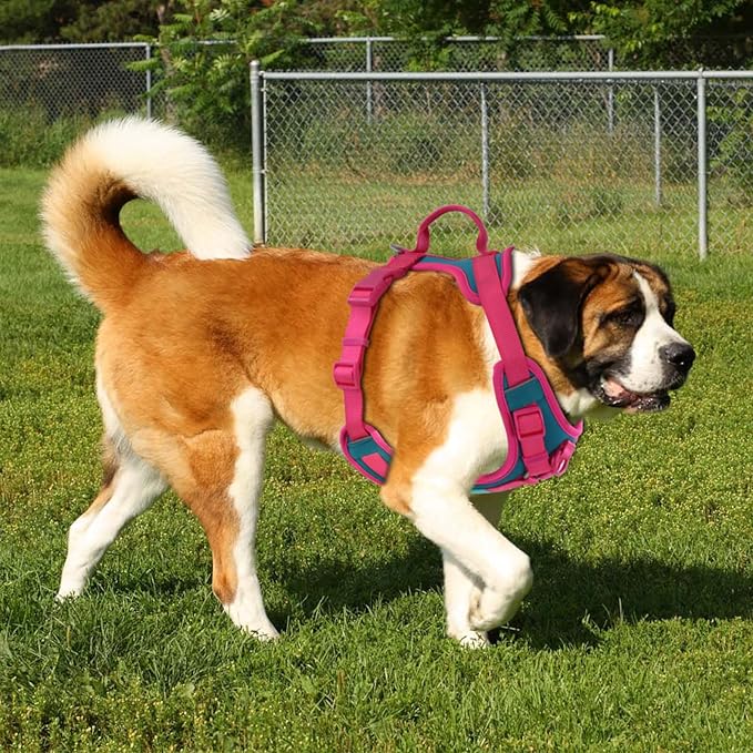 No Pull Dog Harness Adjustable Soft Padded Pet Vest with Control Handle Adorable Daily Harness for Dogs(Viridian Green XL)