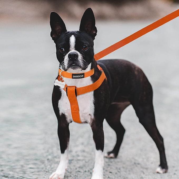 No Pull Dog Harness - Adjustable Step-in Harness & Leash Set for Small, Medium, Large Dogs - Escape Proof Soft Pet Harness for Walking, Training, Hiking, Outdoor Activities