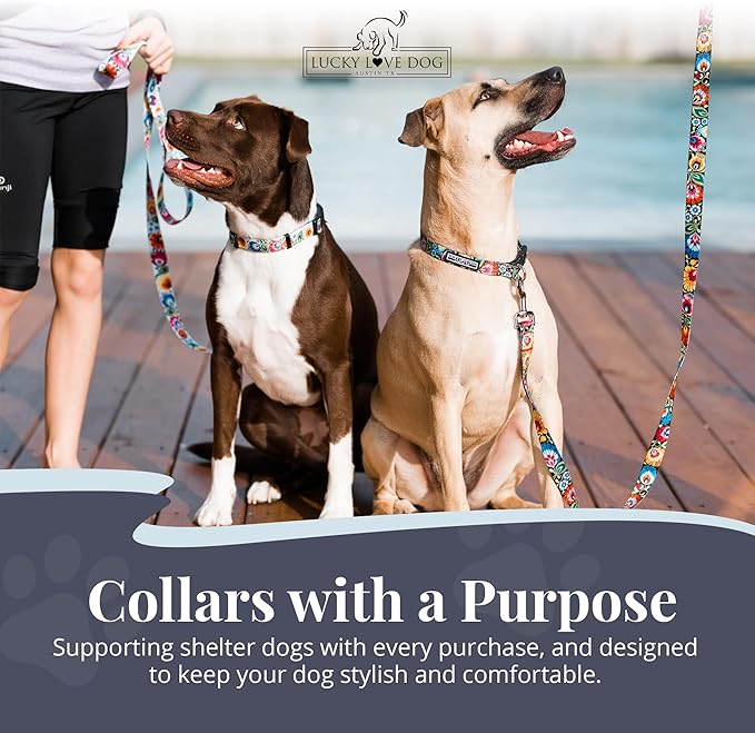 Lucky Love Dog - Adjustable Dog Collar with Easy Click Buckle for Small to Large Ones, Durable, & Comfortable for Male & Female Dogs, Pet Collar for Puppies & Adult Dogs - Ladybird, Medium