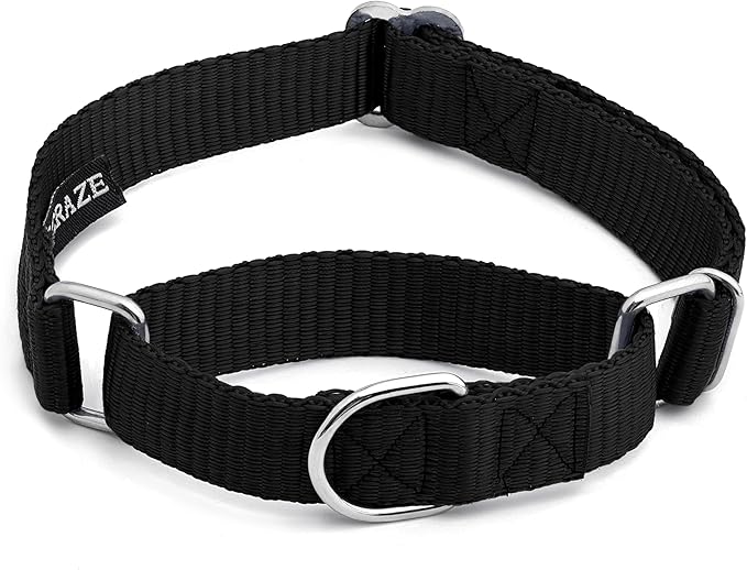 Martingale Dog Collar - Heavyduty Nylon Dog Collar with No Buckle Dog Training Collars for Medium Dogs (Black, XL)